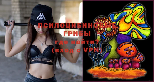 хмурый Пестово