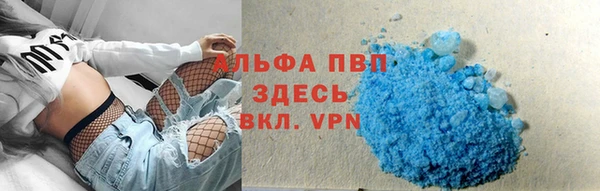 эйфоретик Пересвет