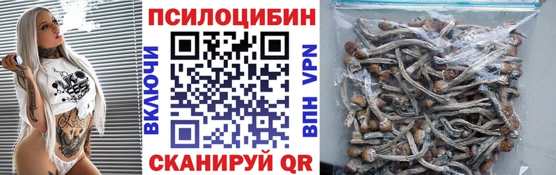 Галлюциногенные грибы Psilocybine cubensis  мега зеркало  Шадринск 